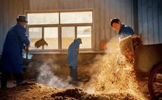 醉梦九华酱香型白酒储存五年...