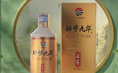 醉梦九华云尊酒：藏山水禅韵...